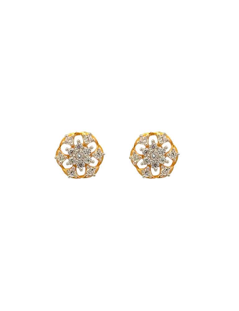 22 Karat Gold Erarings