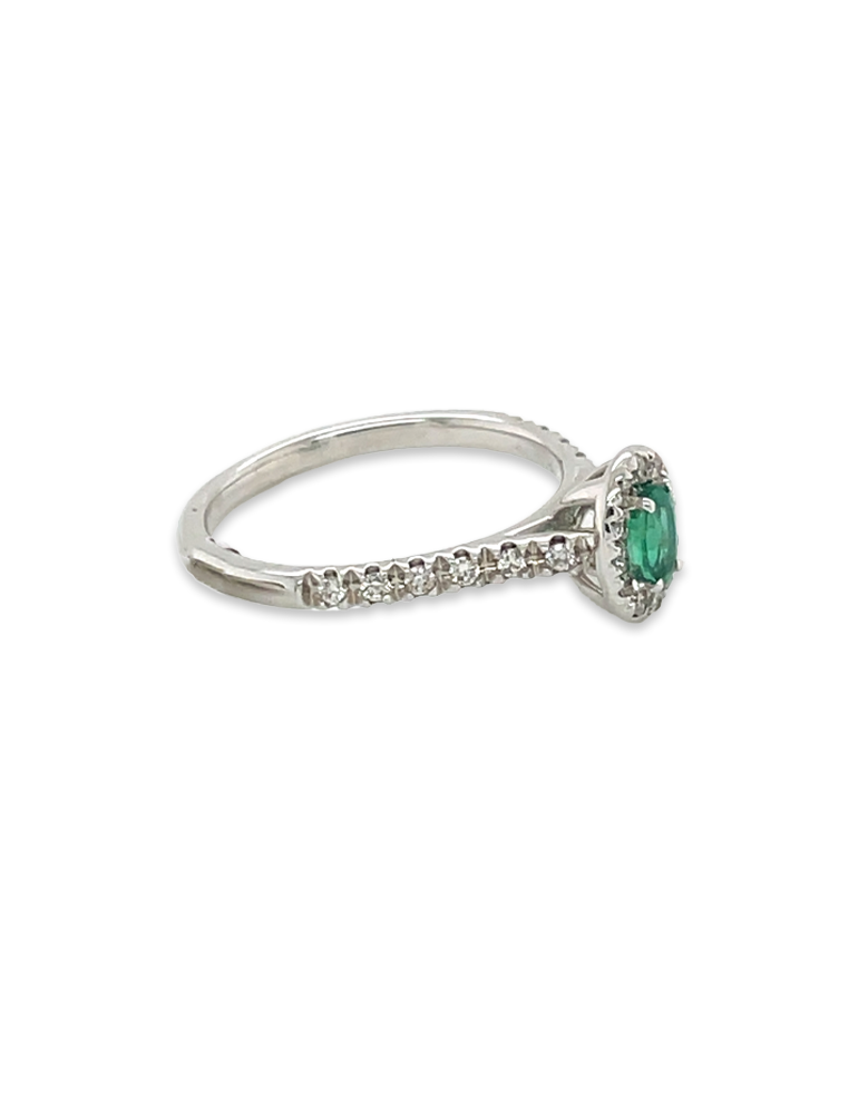 Lady's Fashion Ring