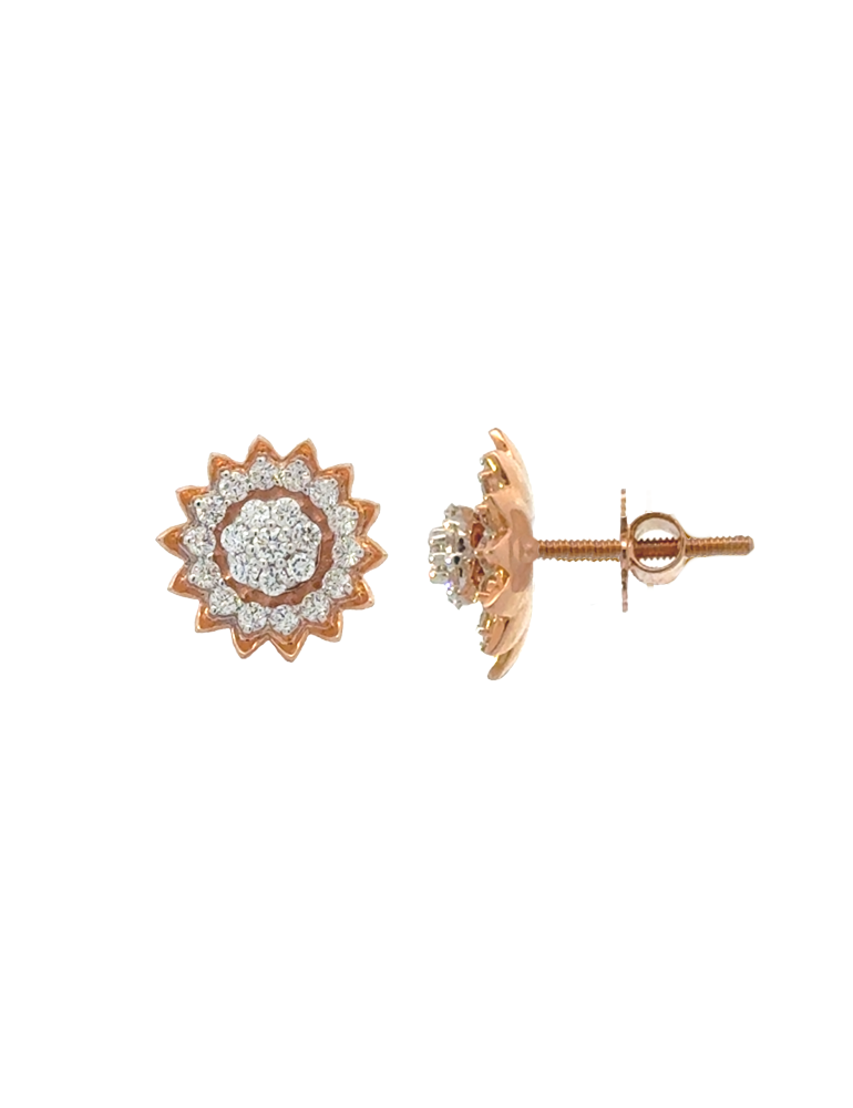 Diamond Earrings - 18 Karat